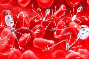 Focus sulle anemie